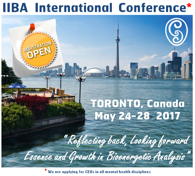 IIBA Conf 2017 First Ads v4