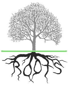 tree roots roots small