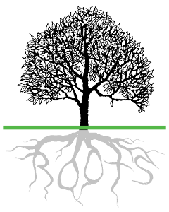 tree roots tree small